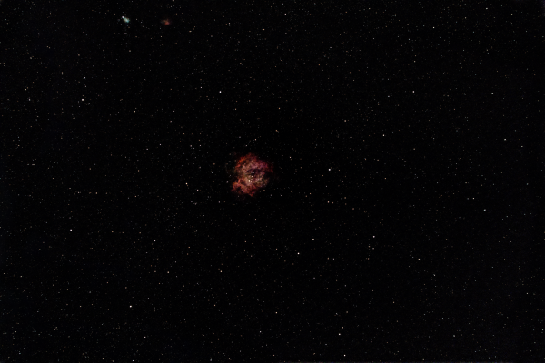 NGC 2237 - Astrophotography