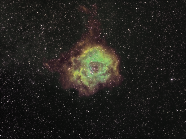 NGC2237/Sh2-275 (Emission Neb.) Rozetta SHO - Astrophotography