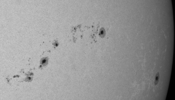 Sun - sunspot groups AR13772, 3774, 3777 09.08.2024 09:19 (GMT +5) - Astrophotography