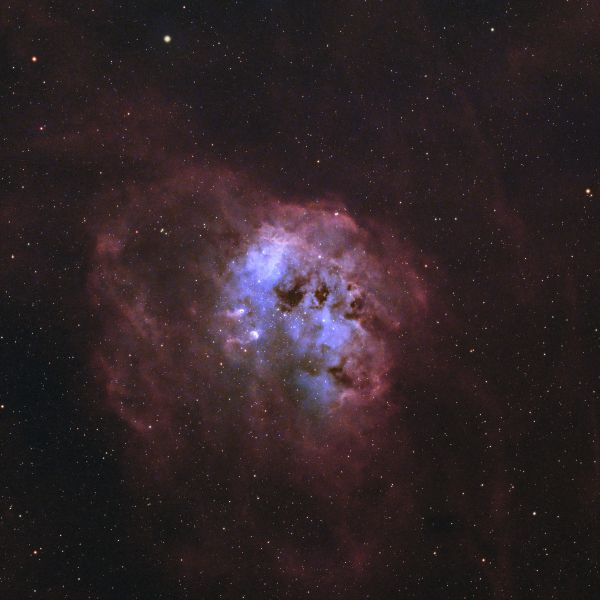 IC 410 - Astrophotography