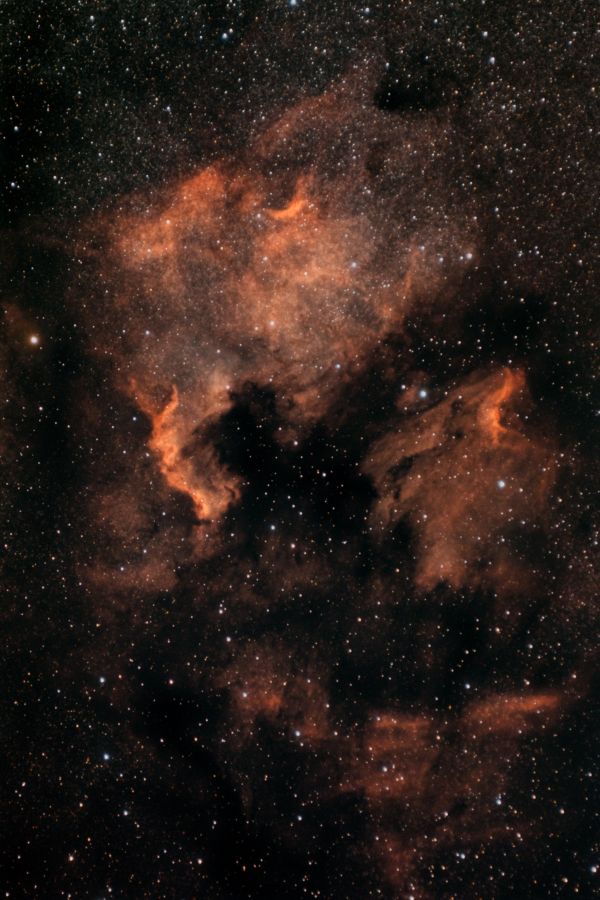 The North America Nebula and the Pelican Nebula in the constellation Cygnus. - Astrophotography