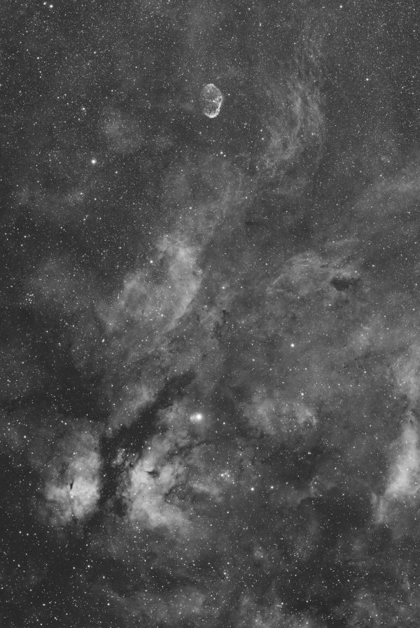 Ionized hydrogen clouds in the constellation Cygnus. - Astrophotography