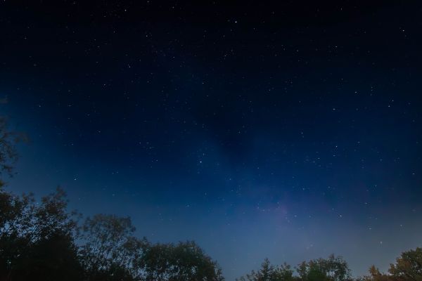 Veil - Astrophotography