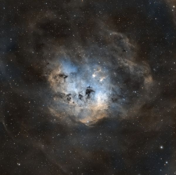 NGC 1893. 