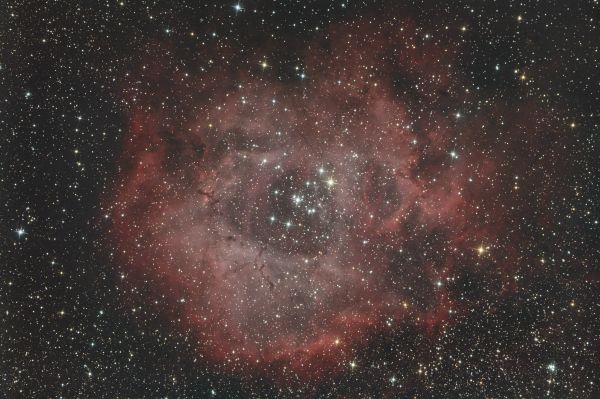 Rosette Nebula - Astrophotography