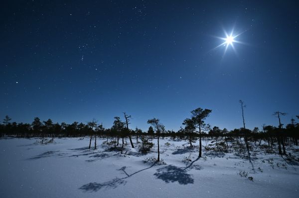 Orion + Moon 01.2024 - Astrophotography