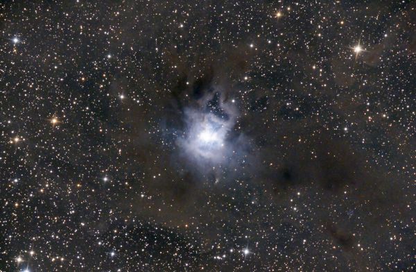 NGC 7023 "Iris" - Astrophotography