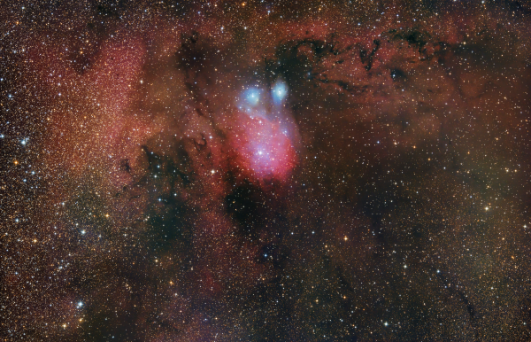IC1284/NGC6595 - Astrophotography