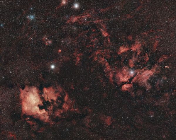Cygnus - Astrophotography