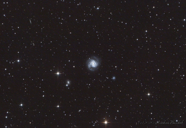 M61 - Astrophotography