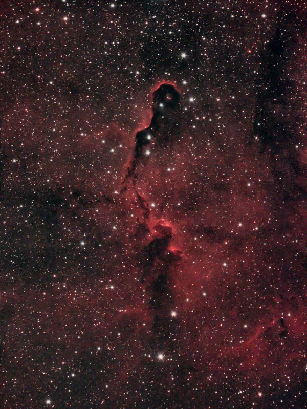 IC1396 Elephant's Trunk - Astrophotography