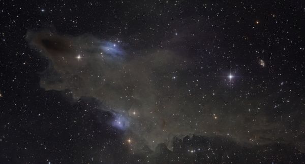 LDN1235 - Astrophotography