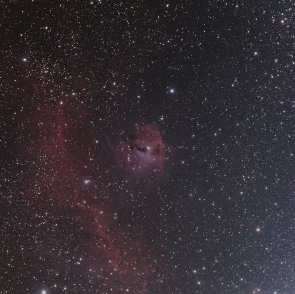 IC 2177 - Astrophotography