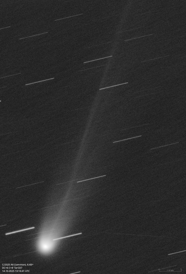 C/2025 A6 (Lemmon) - Astrophotography