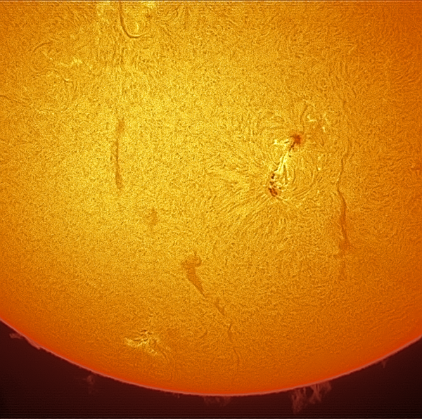 Sun from July 11, 2022 - Astrophotography