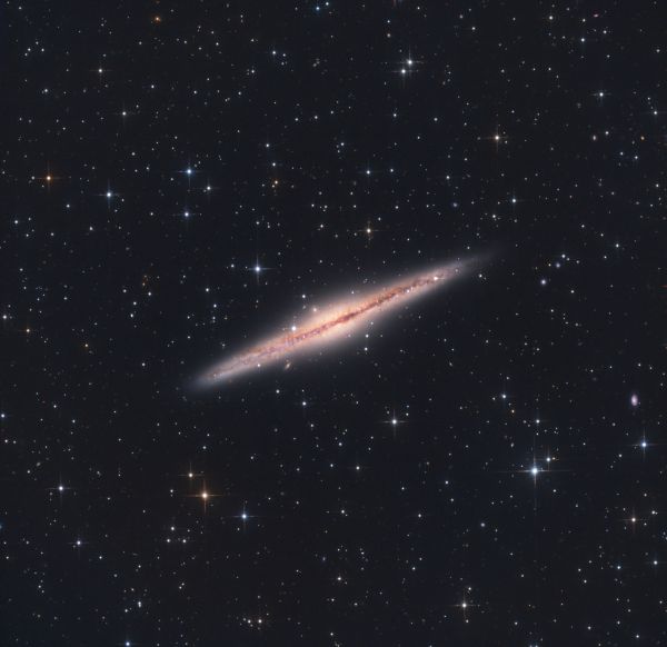 NGC 891 - Astrophotography