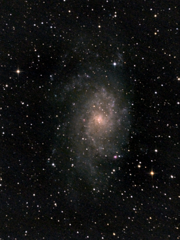 Galaxy M33 in Triangulum. September 4, 2021 and September 11, 2021. - Astrophotography