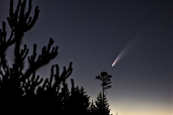 COMET C/2020 F3 NEOWISE over Macclesfield Forest - Astrophotography