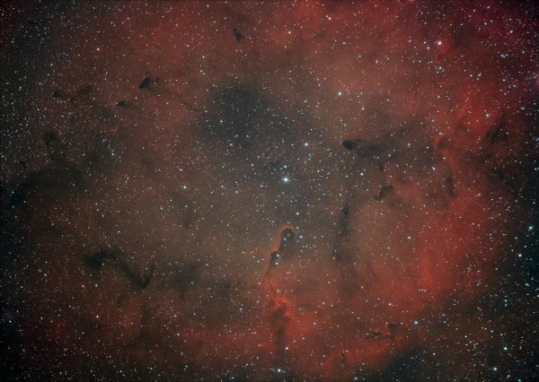 IC-1396. The Elephant Trunk Nebula. - Astrophotography