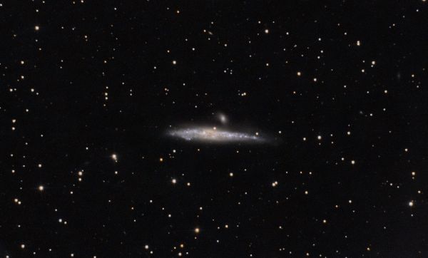NGC4631 - Astrophotography