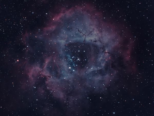 NGC 2237 Rosette HOO - Astrophotography