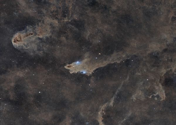 Cepheus Dust Nebulae - LDN 1235 Dark Shark and LDN 1251 Rotten Fish - Astrophotography