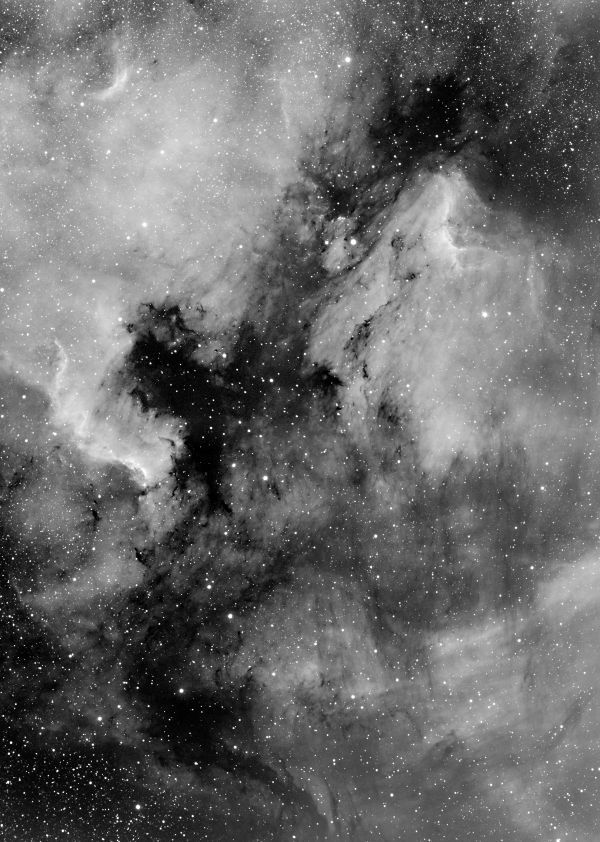 Pelican and North America - Astrophotography