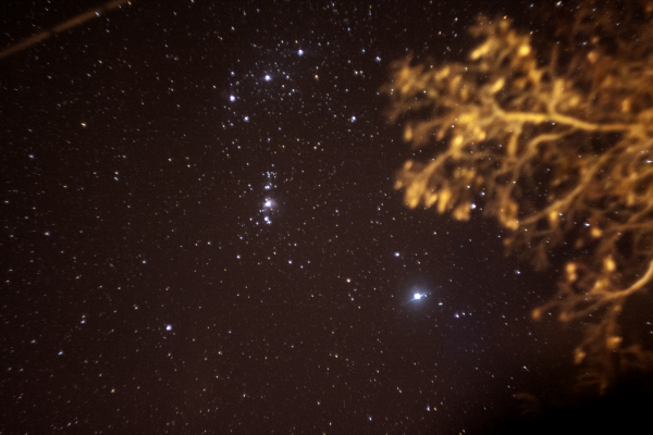 Orion - Astrophotography