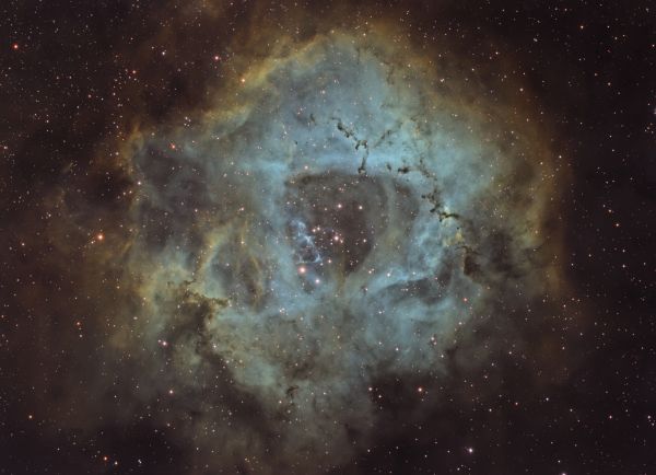 NGC2237 - Astrophotography