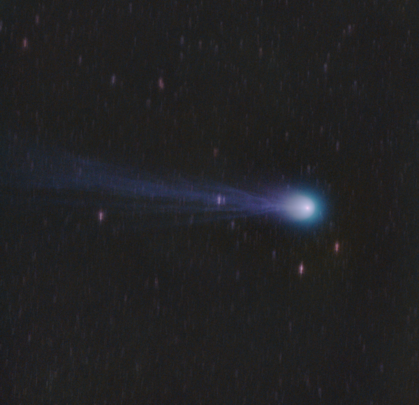 12P/Pons-Brooks 03.03.2024 - Astrophotography