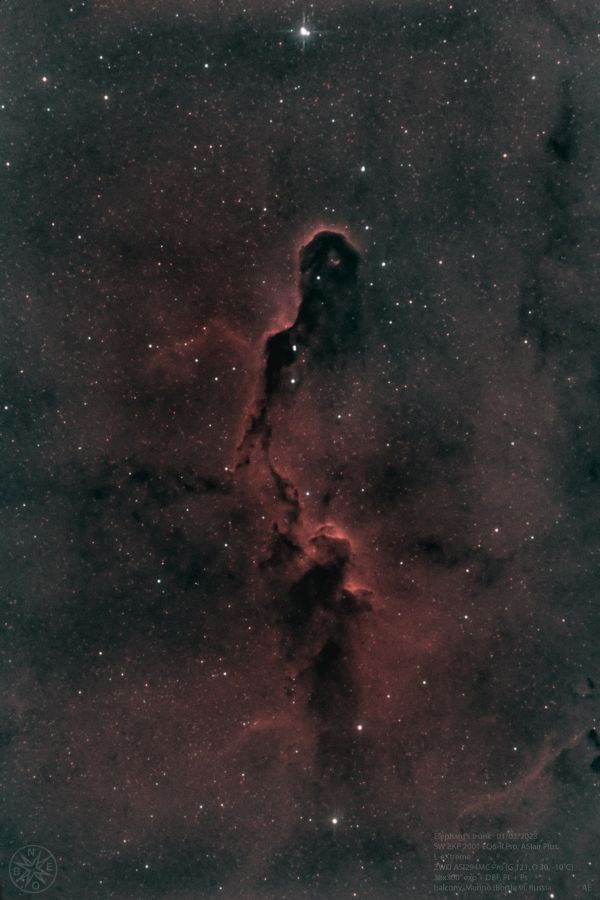 Elephant's trunk - Astrophotography