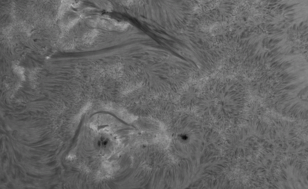 Animation of an active region over 20 minutes on July 13, 2024 - Astrophotography