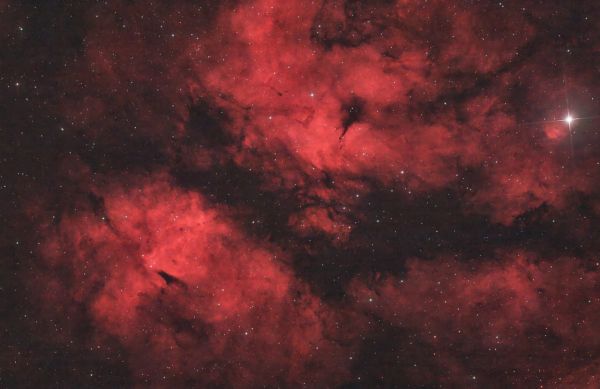 Butterfly - Astrophotography