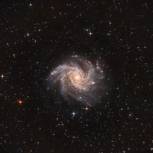 Galaxy NGC 6946 Fireworks - Astrophotography