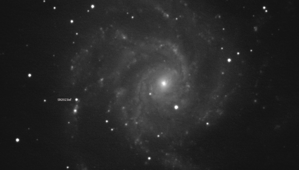 M101 SN2023ixf - Astrophotography