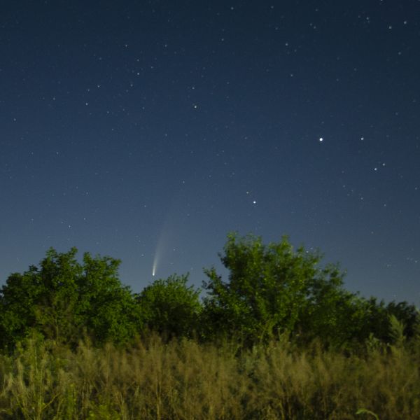 C/2020 F3 (NEOWISE) - Astrophotography