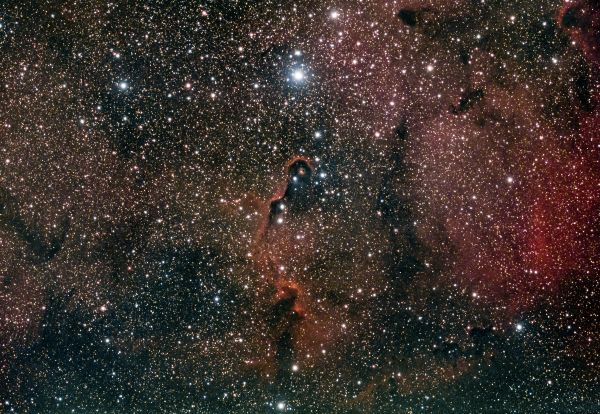 Elephant's Trunk Nebula (IC 1396A) in the constellation Cepheus - Astrophotography