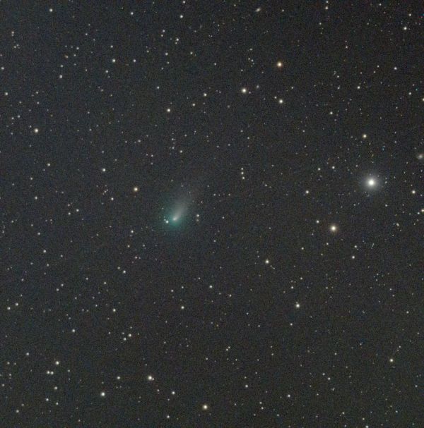 C/2021 A1 (Leonard) - Astrophotography