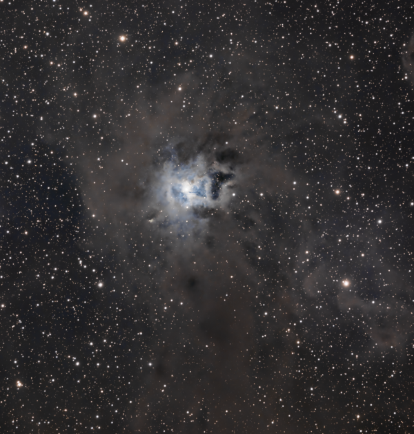 NGC 7023 (OCL 235, LBN 487, Iris Nebula) - Astrophotography