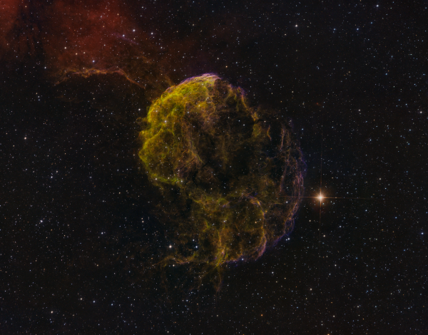 IC 443 (Jellyfish Nebula) - HSO - Astrophotography