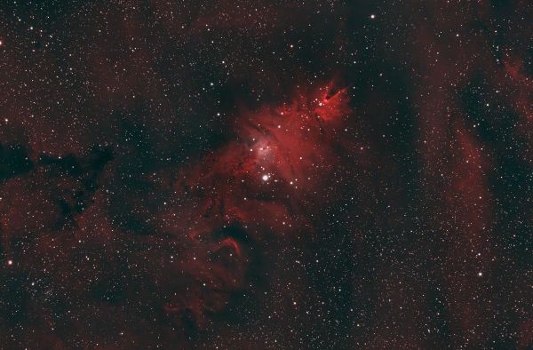 Christmas Tree Cluster (Cone Nebula – Fox Fur Nebula) - Astrophotography