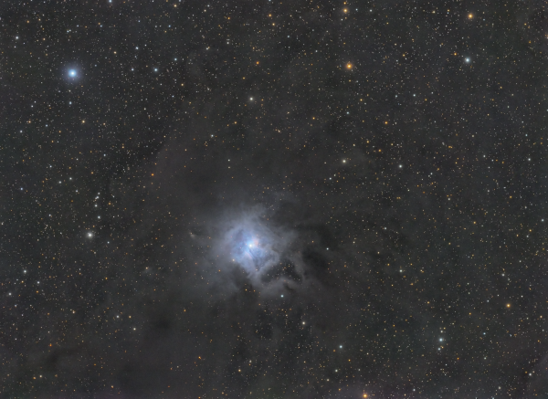 NGC7023 Iris Nebula Cepheus - Astrophotography