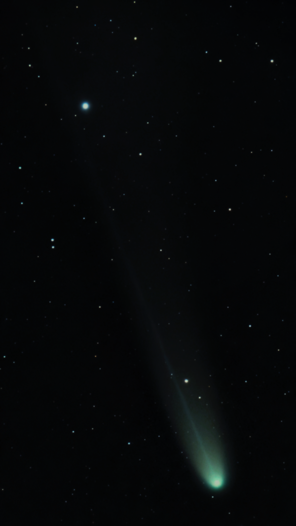 Comet C2025 A6 (Lemmon) in the evening sky November 01 - Astrophotography