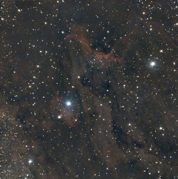 Pelican Nebula IC 5070 #2 - Astrophotography