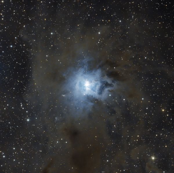 Iris - Astrophotography