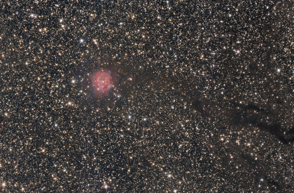 The Cocoon Nebula (IC 5146)