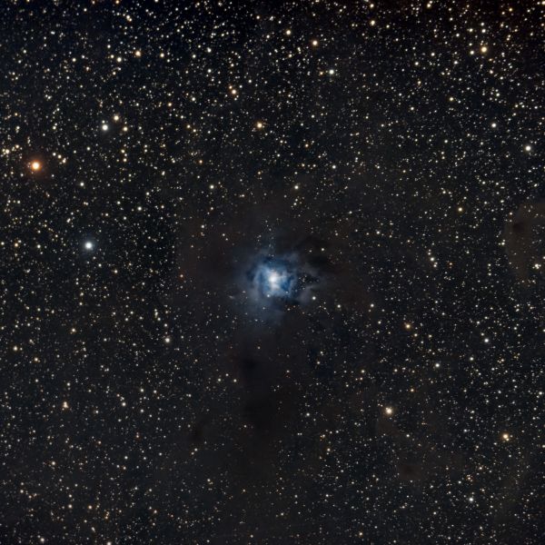NGC 7023 (Iris Nebula) - Astrophotography