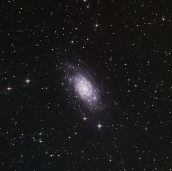 Galaxy NGC 2403 - Astrophotography