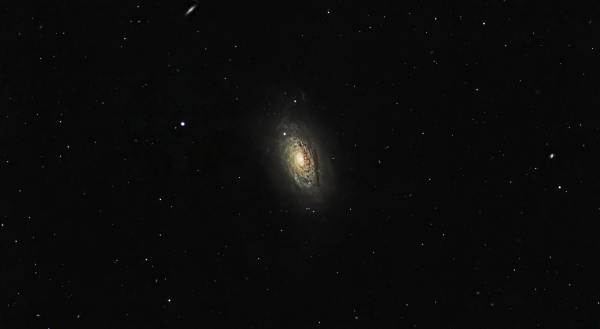 Sunflower Galaxy - Astrophotography