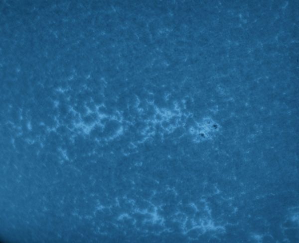 Active Region 3029 in CaK - Astrophotography